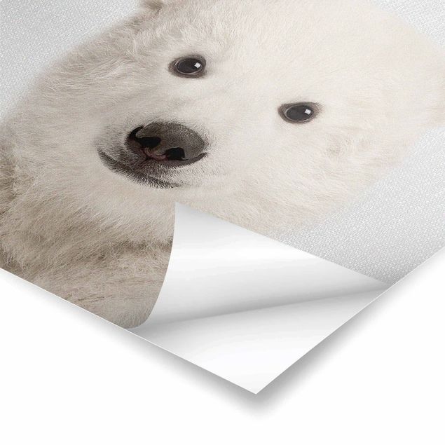 Czarno białe plakaty Baby Polar Bear Emil