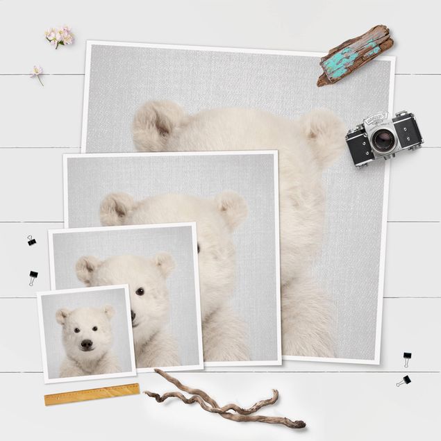 Obrazy Baby Polar Bear Emil
