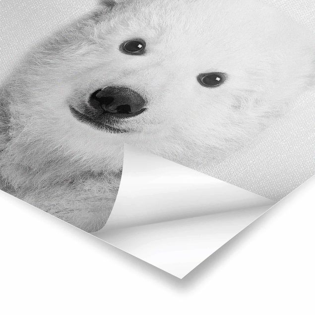 Czarno białe plakaty Baby Polar Bear Emil Black And White