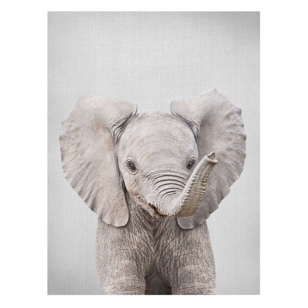 Zwierzęta obrazy Baby Elephant Elsa