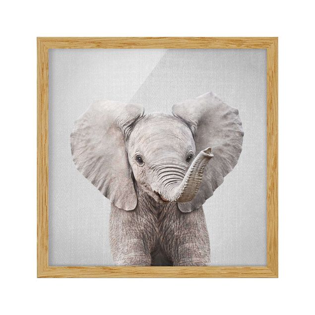 Obrazy w ramie zwierzęta Baby Elephant Elsa