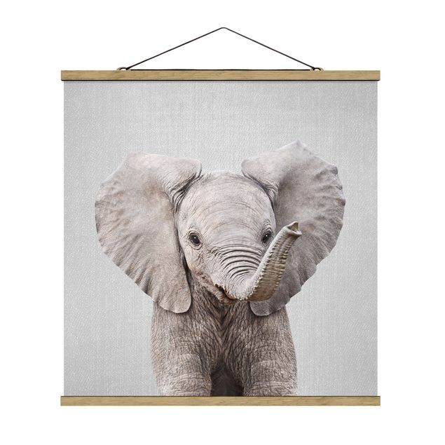Obrazy nowoczesny Baby Elephant Elsa