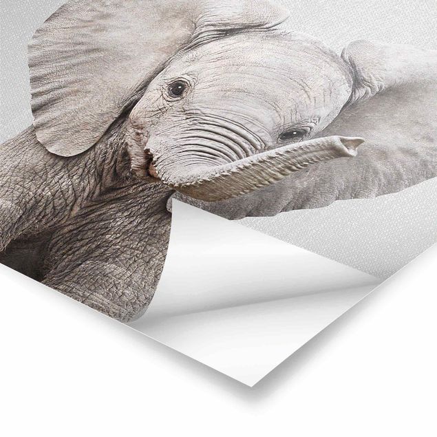 Plakaty czarno białe Baby Elephant Elsa