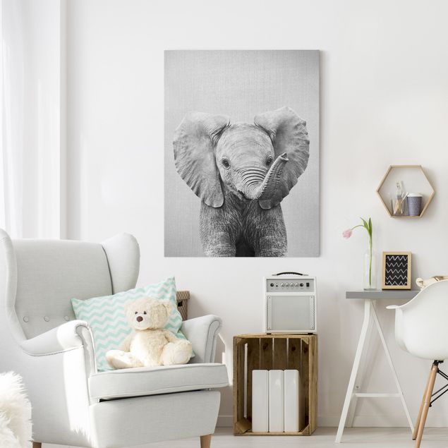 Obrazy do salonu Baby Elephant Elsa Black And White
