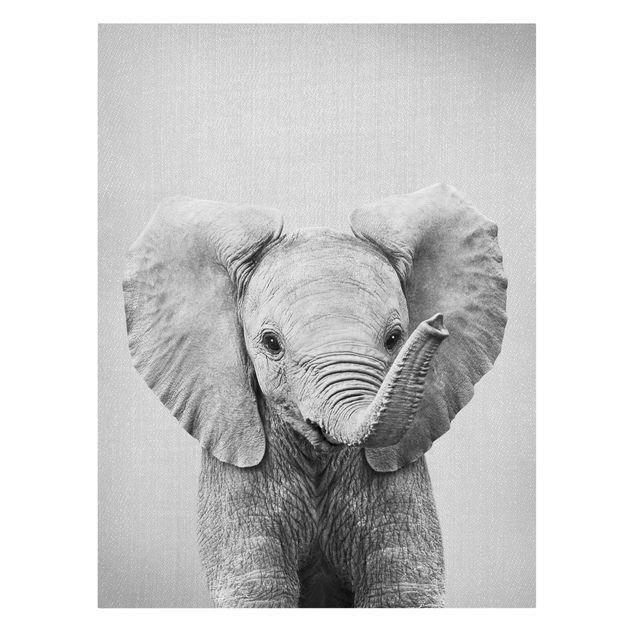 Obrazy zwierzęta Baby Elephant Elsa Black And White