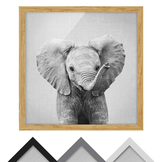 Nowoczesne obrazy Baby Elephant Elsa Black And White