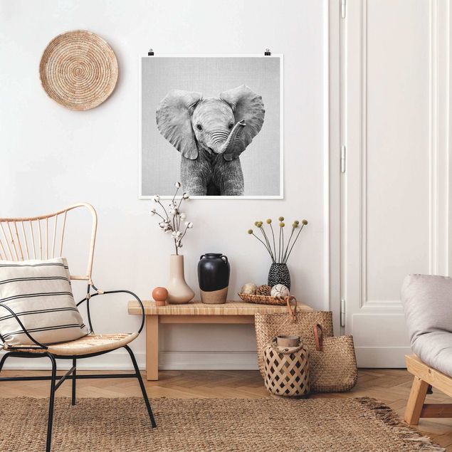 Obrazy do salonu nowoczesne Baby Elephant Elsa Black And White