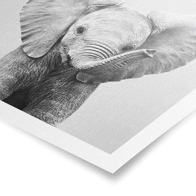 Zwierzęta obrazy Baby Elephant Elsa Black And White