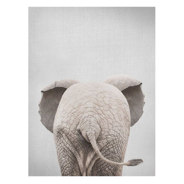 Zwierzęta obrazy Baby Elephant From Behind