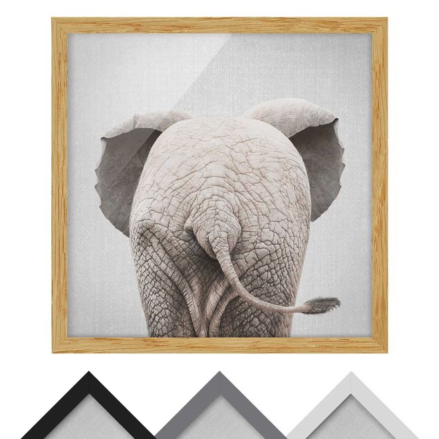 Nowoczesne obrazy Baby Elephant From Behind