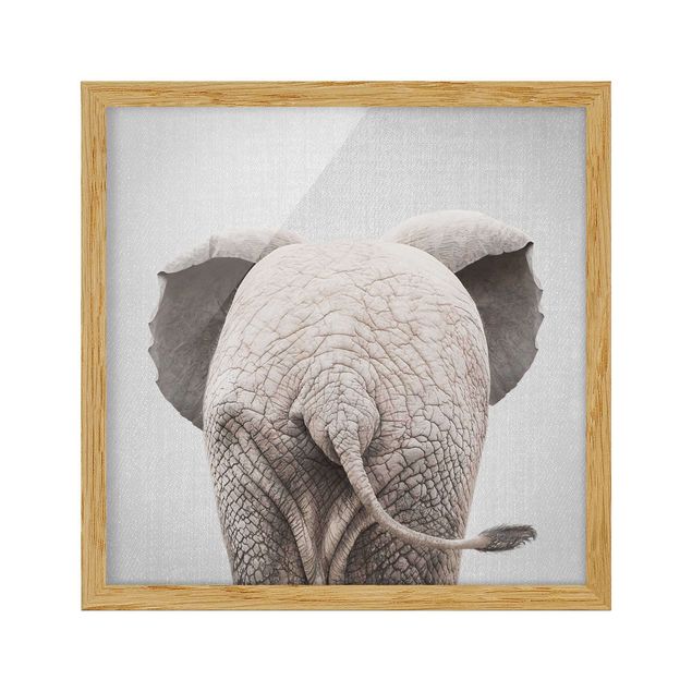 Obrazy w ramie zwierzęta Baby Elephant From Behind