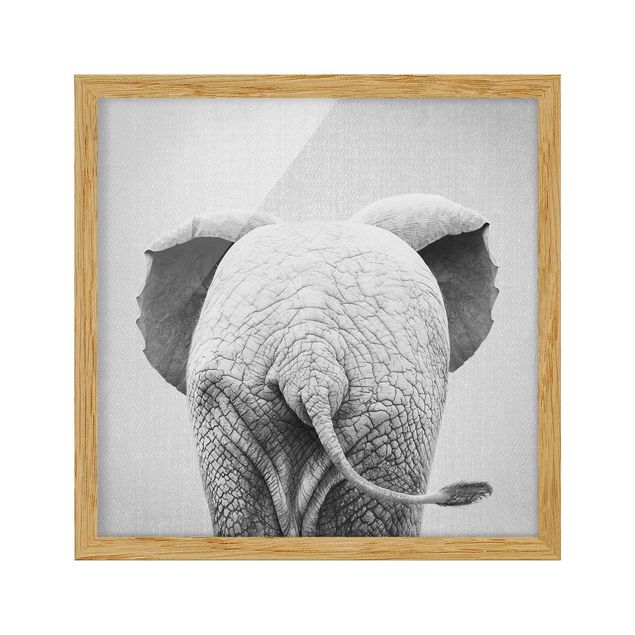 Obrazy w ramie zwierzęta Baby Elephant From Behind Black And White