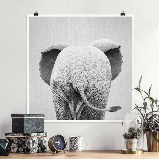 Obrazy słoń Baby Elephant From Behind Black And White