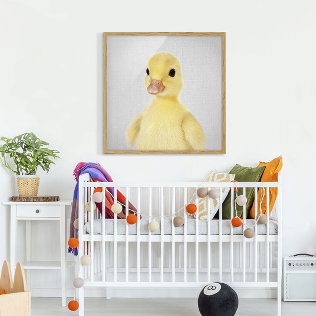 Obrazy w ramie zwierzęta Baby Duck Emma