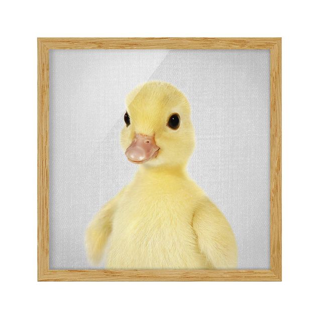 Nowoczesne obrazy do salonu Baby Duck Emma