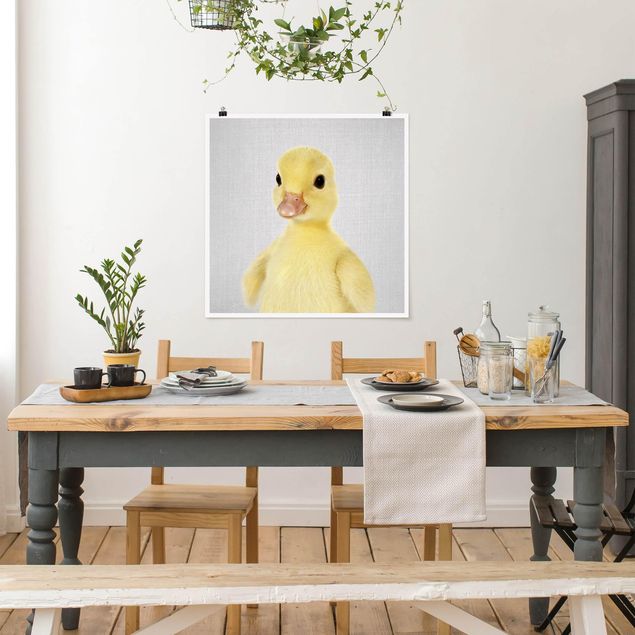 Obrazy do salonu nowoczesne Baby Duck Emma