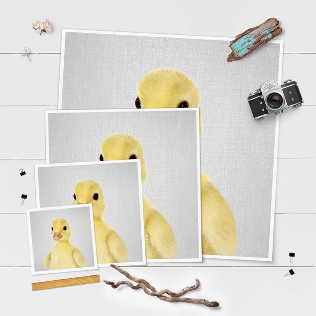 Plakaty na sciane Baby Duck Emma