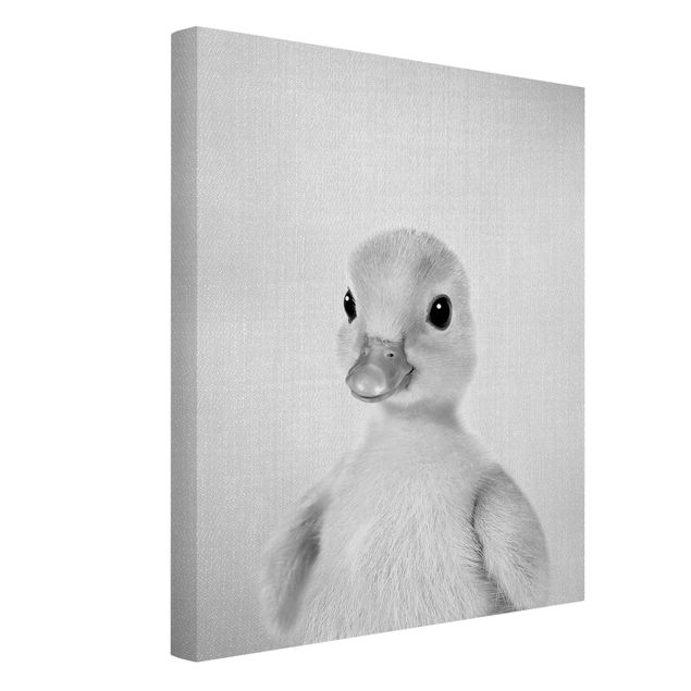 Obrazy zwierzęta Baby Duck Emma Black And White