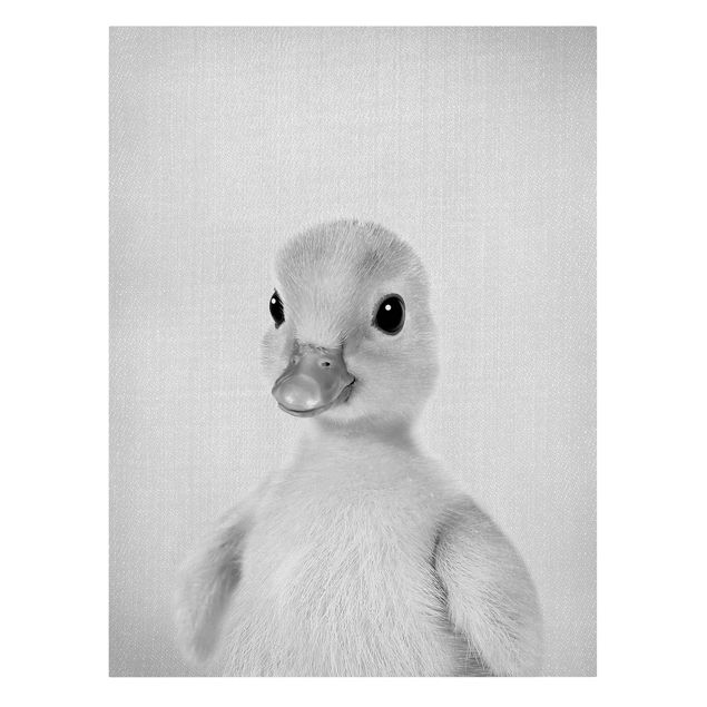Obrazy ptaki na płótnie Baby Duck Emma Black And White
