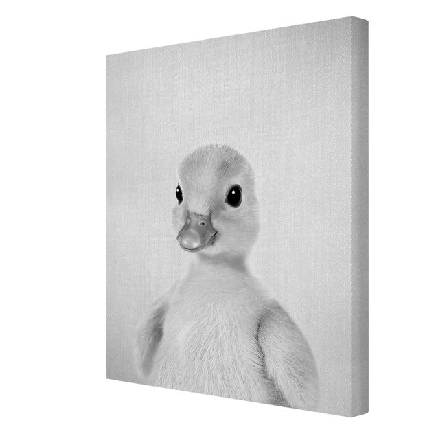 Czarno białe obrazy Baby Duck Emma Black And White