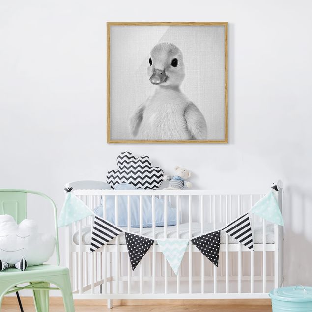 Obrazy w ramie zwierzęta Baby Duck Emma Black And White