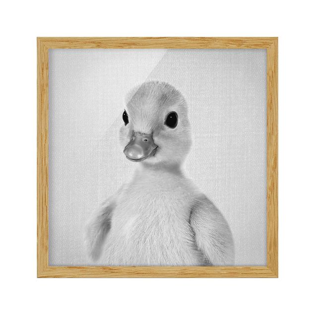 Obrazy do salonu Baby Duck Emma Black And White