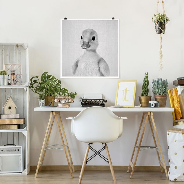 Obrazy nowoczesny Baby Duck Emma Black And White