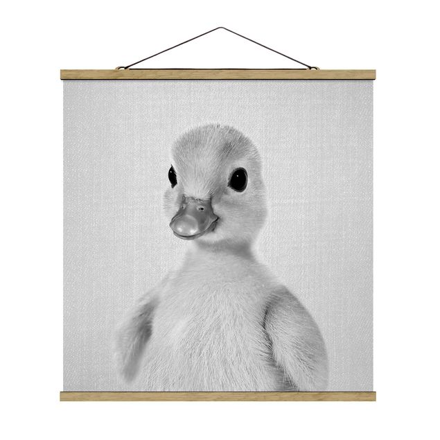 Obrazy ze zwierzętami Baby Duck Emma Black And White