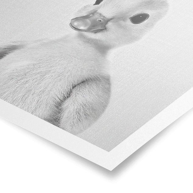 Obrazki czarno białe Baby Duck Emma Black And White