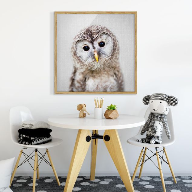 Obrazy w ramie zwierzęta Baby Owl Erika