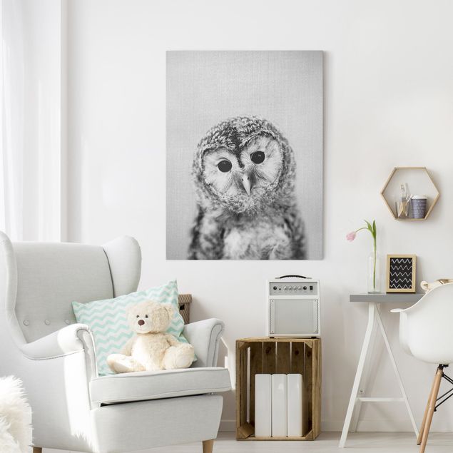 Obrazy nowoczesny Baby Owl Erika Black And White