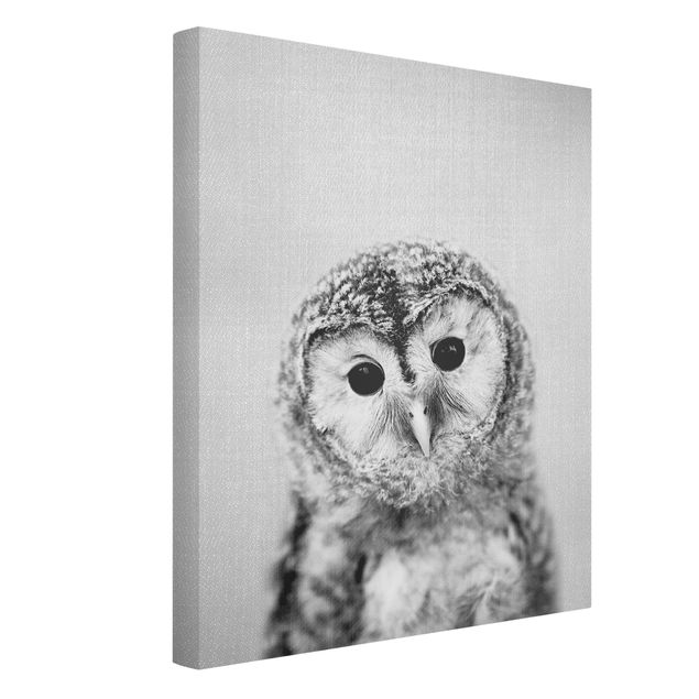 Obrazy ze zwierzętami Baby Owl Erika Black And White