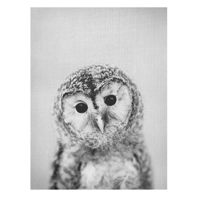 Obrazy na płótnie ptaki Baby Owl Erika Black And White
