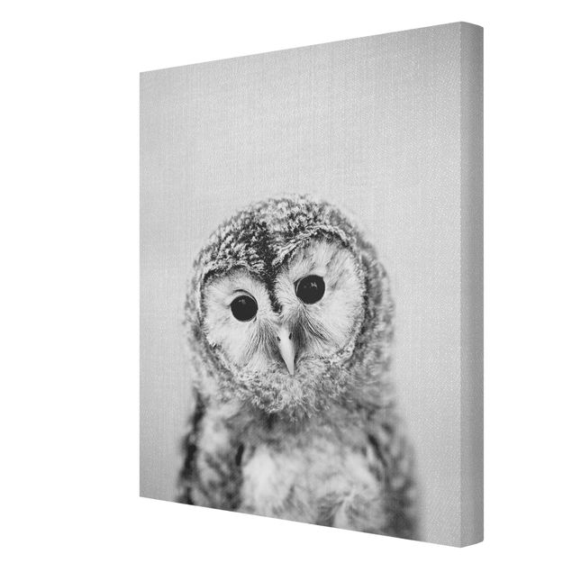 Obrazki czarno białe Baby Owl Erika Black And White