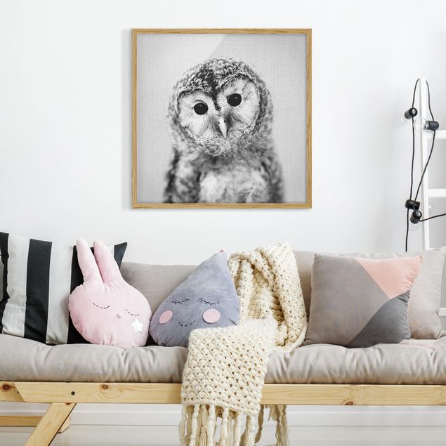 Obrazy w ramie zwierzęta Baby Owl Erika Black And White