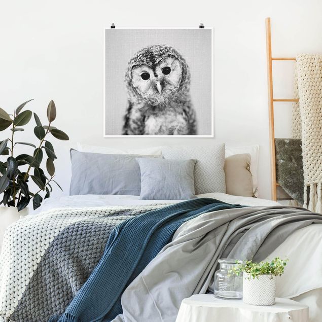Obrazy nowoczesny Baby Owl Erika Black And White