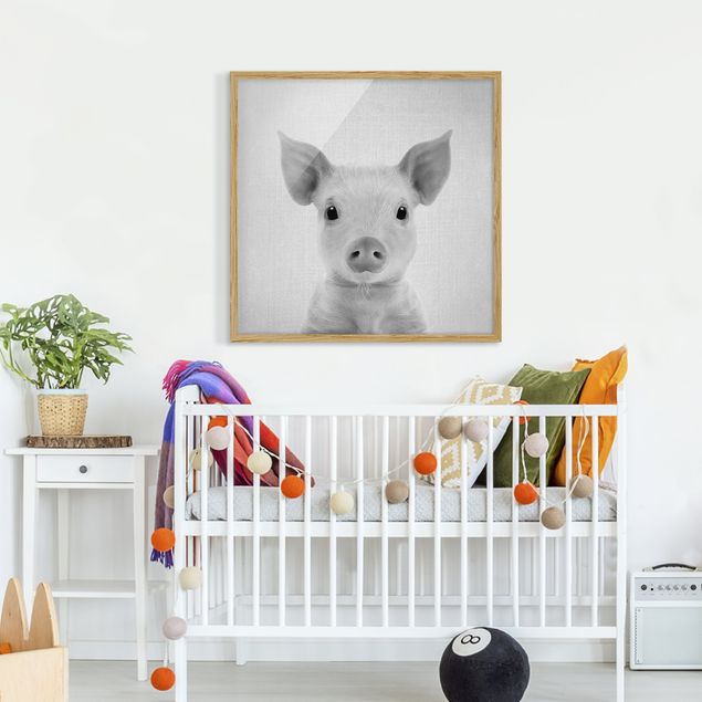 Obrazy w ramie zwierzęta Baby Piglet Fips Black And White