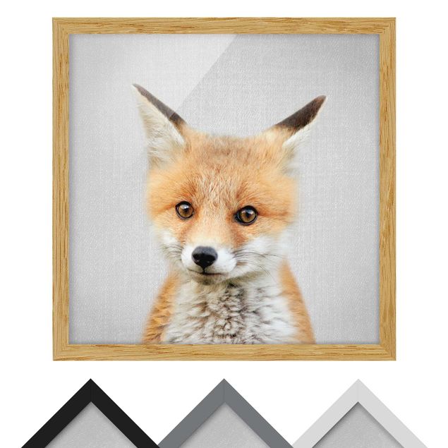 Obrazy ze zwierzętami Baby Fox Fritz