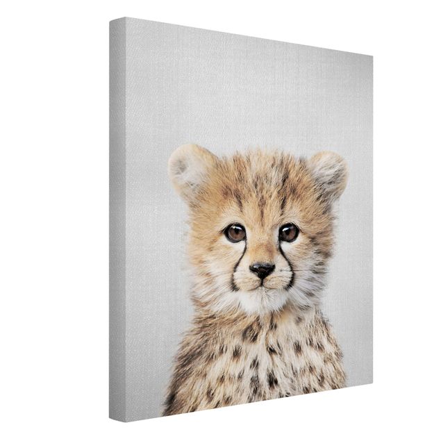 Obrazy ze zwierzętami Baby Cheetah Gino