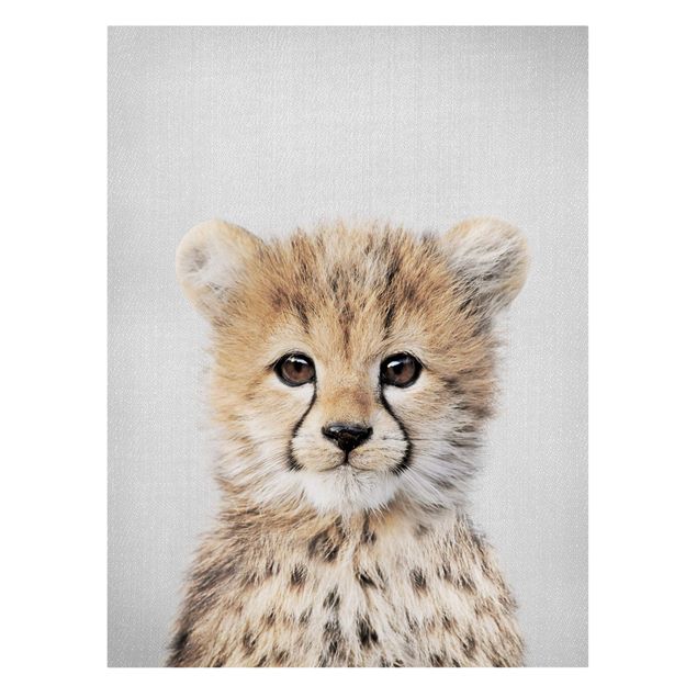 Obrazy na płótnie kot Baby Cheetah Gino