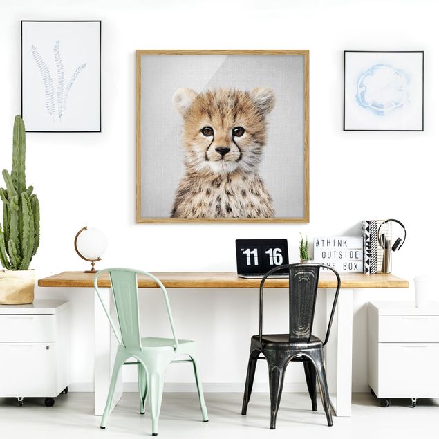 Obrazy w ramie zwierzęta Baby Cheetah Gino