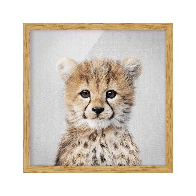 Obrazy do salonu nowoczesne Baby Cheetah Gino