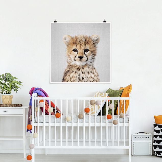 Obrazy do salonu Baby Cheetah Gino