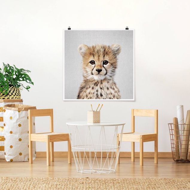 Obrazy nowoczesne Baby Cheetah Gino