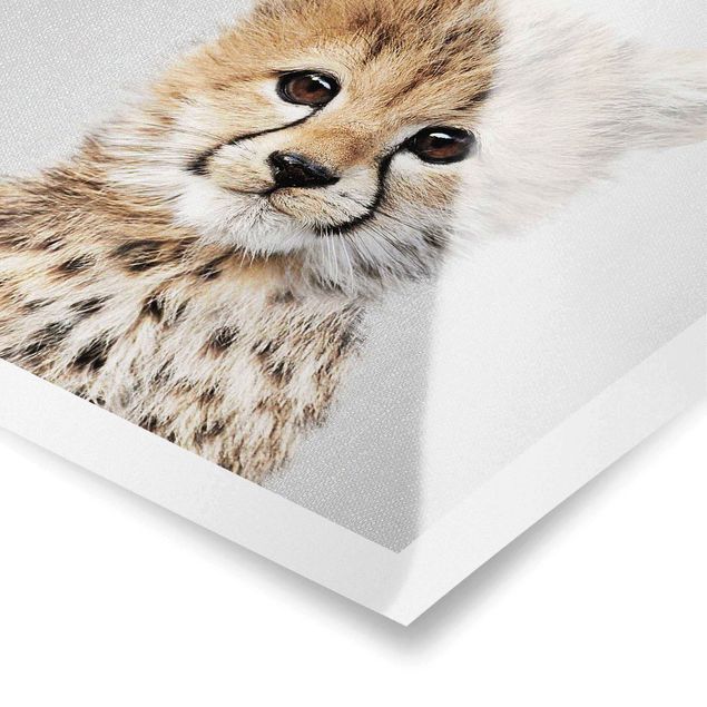 Plakaty czarno białe Baby Cheetah Gino