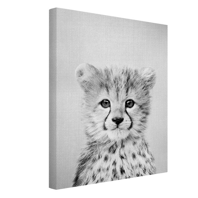 Obrazy zwierzęta Baby Cheetah Gino Black And White