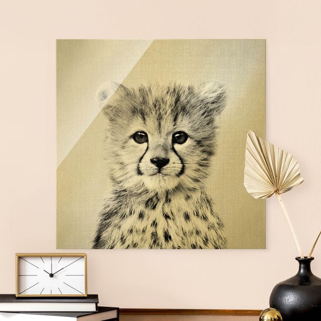 Obrazy na szkle kwadrat Baby Cheetah Gino Black And White