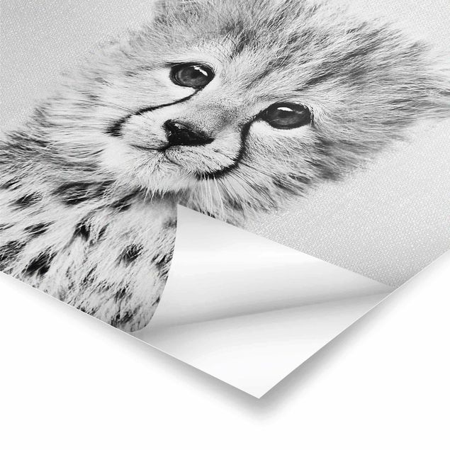 Obrazy Baby Cheetah Gino Black And White
