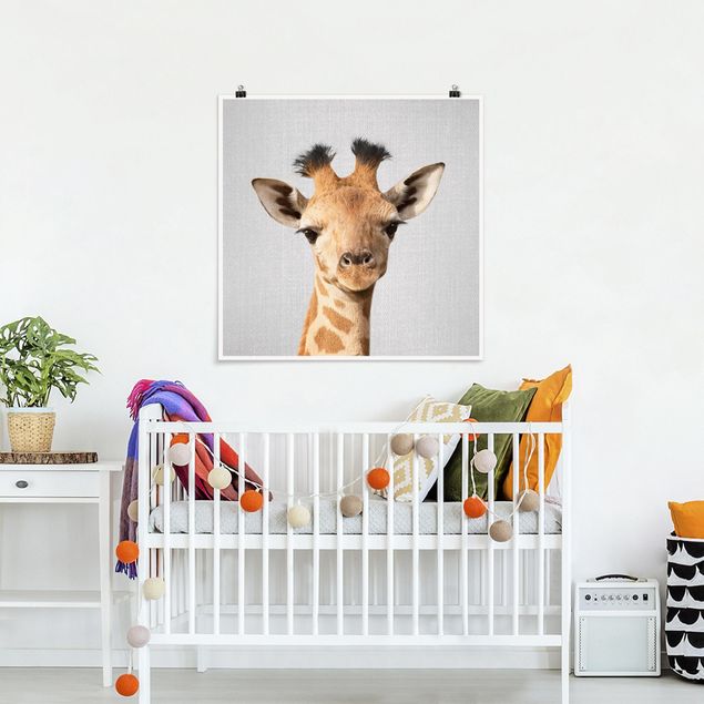 Obrazy do salonu nowoczesne Baby Giraffe Gandalf