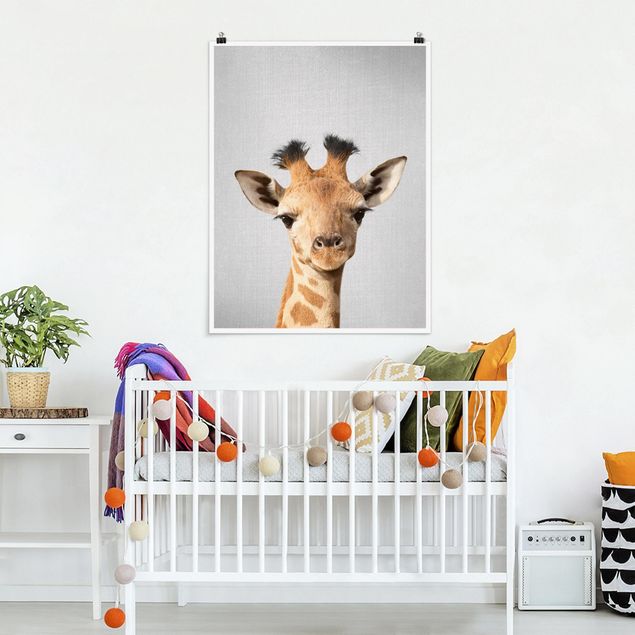 Obrazy do salonu nowoczesne Baby Giraffe Gandalf